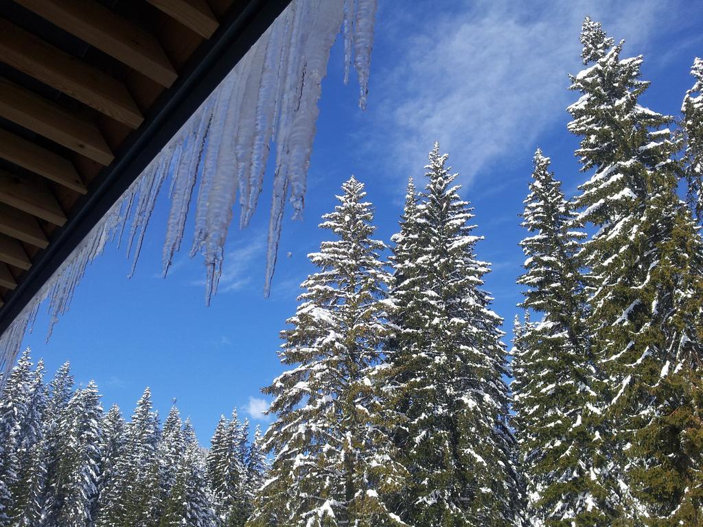 Hotel Jelka Pokljuka Goreljek Exteriér fotografie