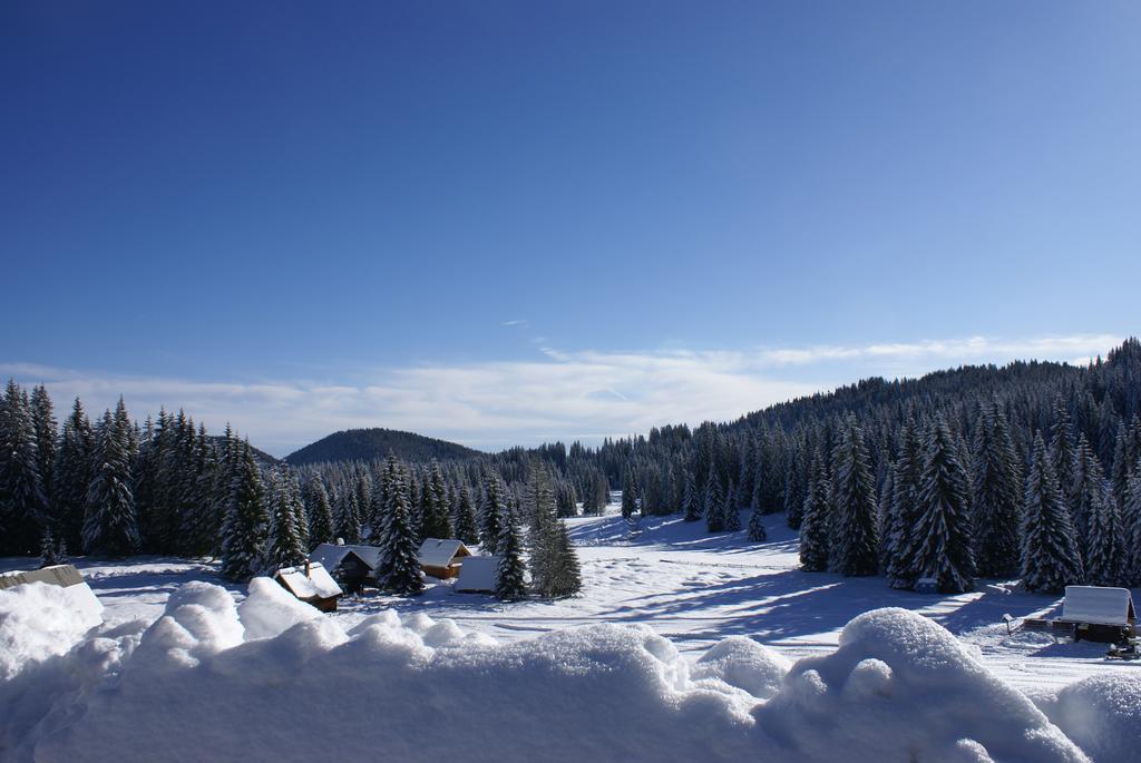 Hotel Jelka Pokljuka Goreljek Exteriér fotografie